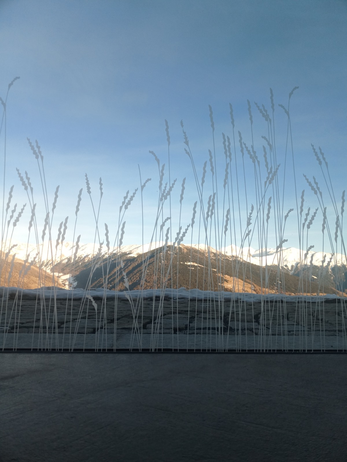 Motivo di erbe sulla vetrata panoramica davanti alle montagne della Val Venosta